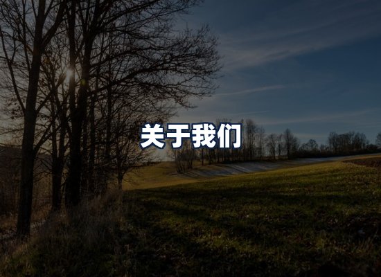 关于我们