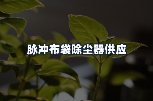 脉冲布袋除尘器供应